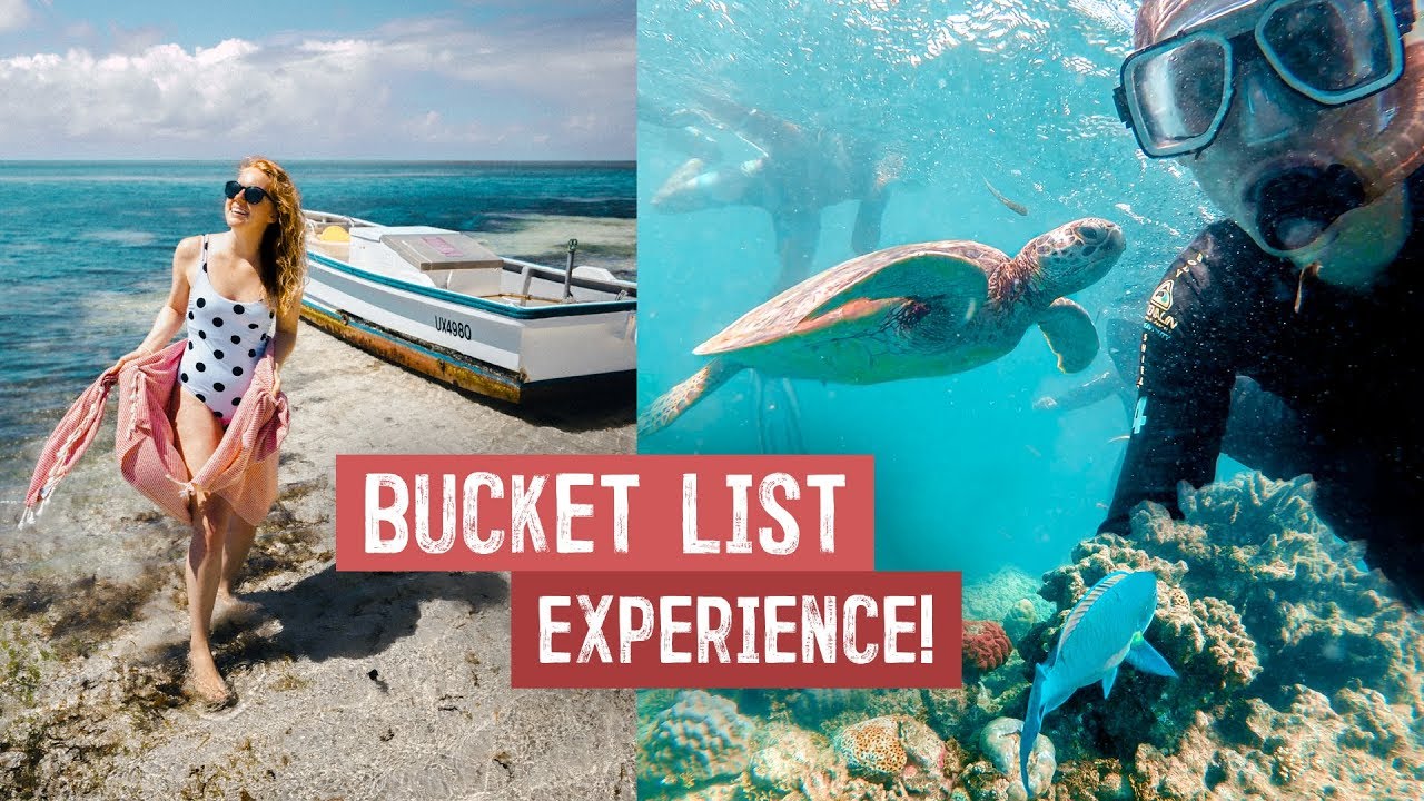 Which Great Barrier Reef tour is best?