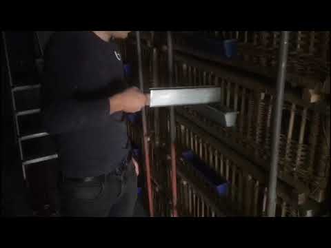 St Vincent 2019 - ZLU Controle WCS / Transport