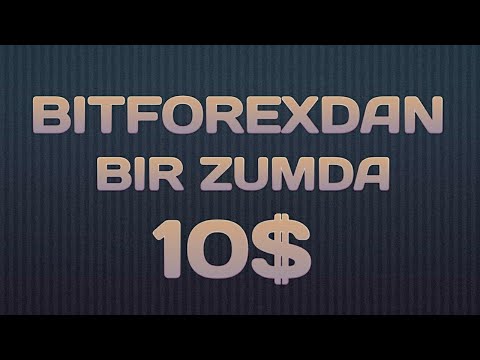 BITFOREXDAN BIR ZUMDA 10$