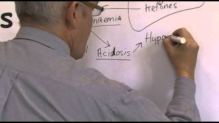 Download lagu Diabetes 15, Diabetic Ketoacidosis (DKA) mp3 Download lagu Diabetes 15, Diabetic Ketoacidosis (DKA) mp3