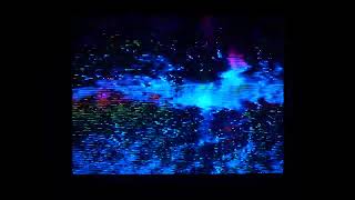 FIELD AFLAME [2022]