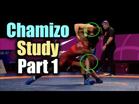 Frank Chamizo '21 European Championships Study (Defensive Techniques)