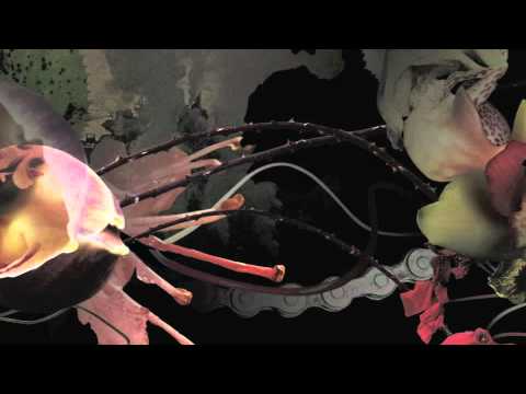 Deadly Avenger - Sequola