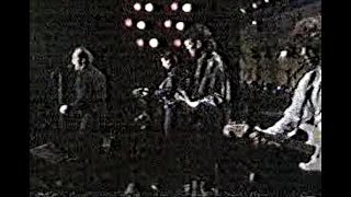 The Fabulous Thunderbirds   Lets Rock This Place