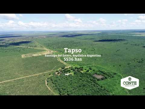 Conte Bienes Raíces - Tapso 5536 Has