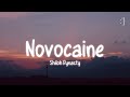Shiloh Dynasty Novocaine Lyrics