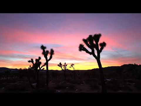 The illusion of Money And Time - Alan Watts