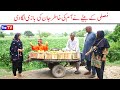 Number Daar Musali Ka Beta Jaan Ki Bazi Funny Video Most Comedy Funny Video You Tv Hd 2025