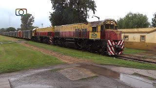 preview picture of video 'Hermoso tren de Belgrano Cargas y Logística pasando por Devoto'