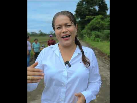 💚✨ Cuando el desarrollo llega, la gratitud se hace escuchar ✨💚