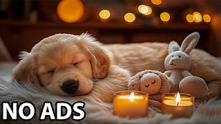 12 Hours Dog Calming Music🕯️Dog Sleep Music & Dog Relaxation Sounds For Anxiety Relief And Peaceful