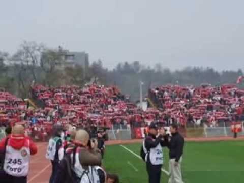 DVTK - FTC 13/14 - Diósgyőri sálerdő