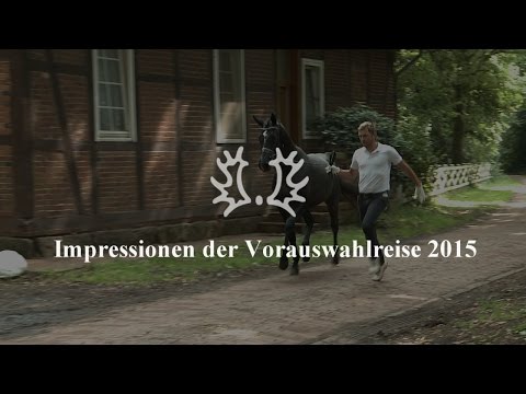 Trakehner Hengstmarkt 2015 - Impressionen der Vorauswahlreise