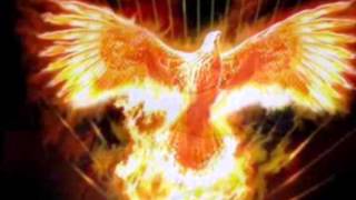 Taiguara - A VOLTA DO PÁSSARO AMERÍNDIO - Taiguara