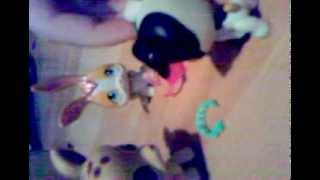 Falsche Freunde-part 1/3