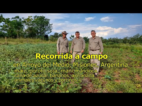 Producción Agrícola | Arroyo del Medio, Provincia de Misiones, Argentina.