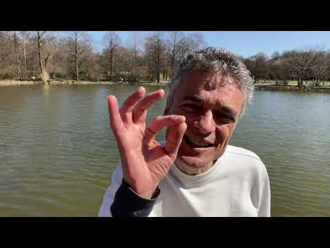 Italienisch Anfänger - Tagesblog Italienisch Plural üben 02 - Italienisch lernen Grammatik