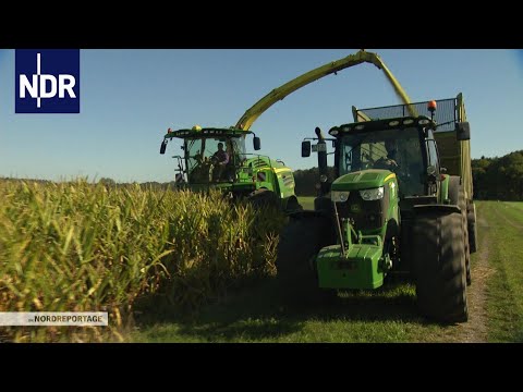 Herbst im Norden: Maisernte unter Hochdruck | die nordreportage | NDR Doku