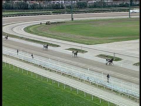 Trotto 26/03/2019 - prova di qualifica