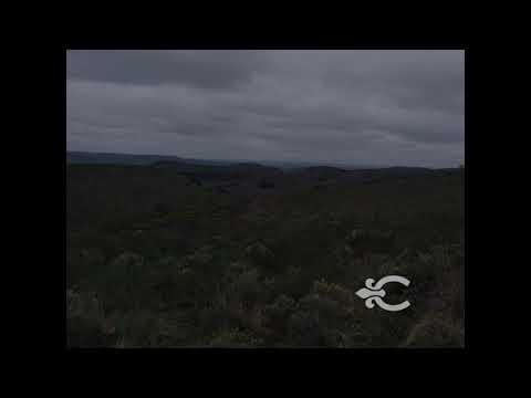 Video de YouTube - Campo en Tacuarembó ref. 8991