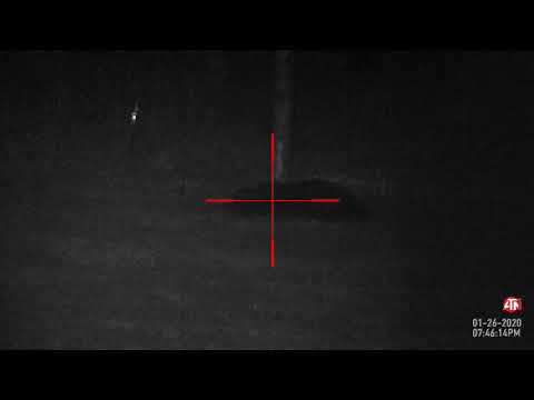 ATN X Sight II   Big Boar finally down