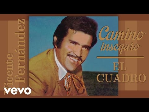 Vicente Fernández - El Cuadro (Cover Audio)