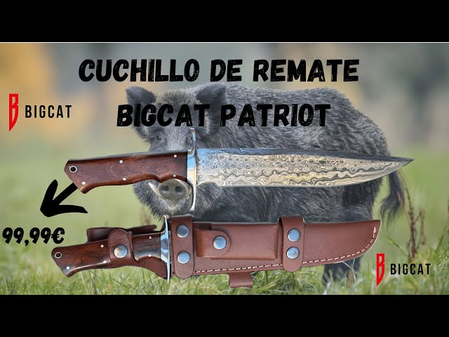 Vídeo relacionado con BIGCAT ROAR Patriot - Cuchillo Caza Grande Acero Damasco 35,6 cm - Mango Madera Nogal y Funda Cuero - EDC Artesanal Bushcraft, Monte, Campo y Supervivencia - Regalo Cazadores Coleccionistas