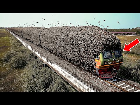 One in a Billion Moments in Nature | Best Of Year