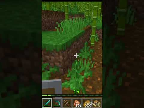 craftgames - minecraft !Why these bamboos?They give cucumbers instead of bananas#minecraftshorts