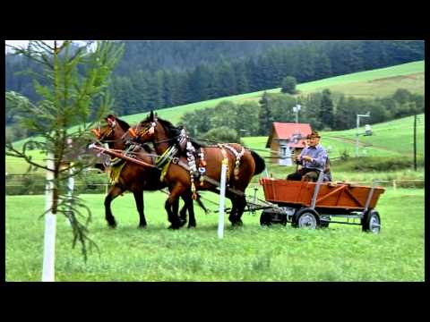 VELKÉ KARLOVICE: Formanský den 2012