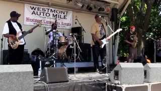 Mike Wheeler Band - Killing Floor - 7/13/14 Westmont, IL.