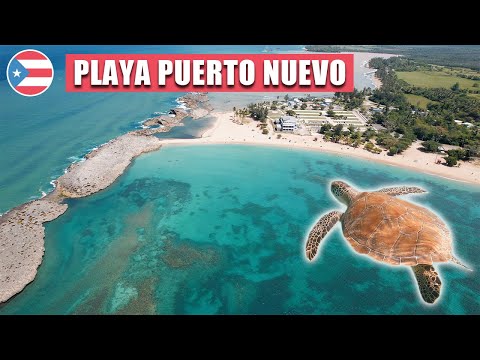 🇵🇷 NOW THIS IS PARADISE! Puerto Nuevo Beach | Vega Baja Puerto Rico (Best Beaches in Puerto Rico)