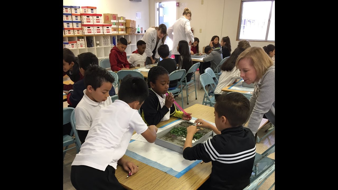 Community Partner Spotlight: Science from Scientists