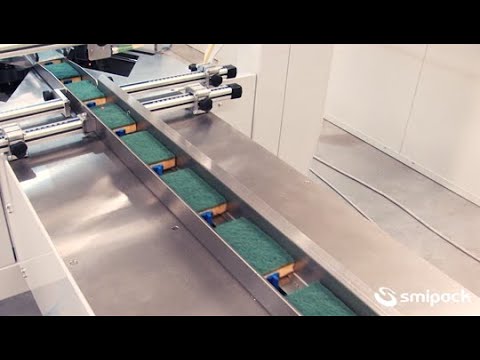 Горизонтальный упаковщик Flow pack (флоу пак) FW750 Smipack - фото 4 - id-p1822864470
