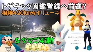 トゲチック ポケットモンスター ボスゴドラ レジロック ゴリランダー トゲチック ポケットモンスター ボスゴドラ レジロック ゴリランダー