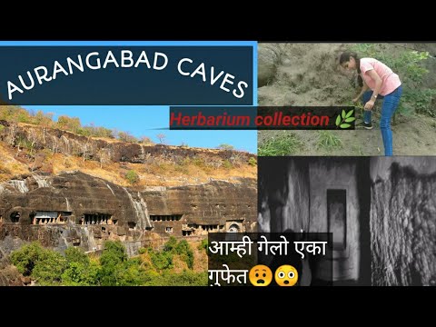 A day in BAMU University| Buddha caves(aurangabad caves)