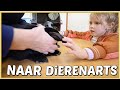 MET ONZE BABY KONiJNTJES NAAR DE DiERENARTS ? | Bellinga Vlog #2594