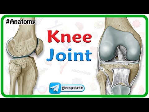 Knee Joint Anatomy Animation : Bones, Ligaments﻿, Innervation, Blood supply & Movements USMLE Step 1