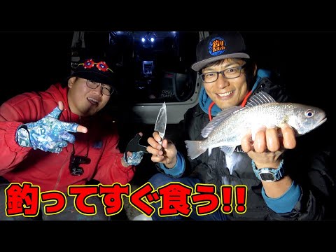 強烈なヒキの魚を釣り上げてその場で捌いて食ってみたら・・・！？