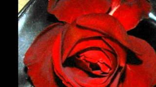 Jesus Is Your Ticket To Heaven- The Tams