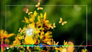 Download lagu story wa 30 detik || dj YALAN x LELA LELA LAYN mp3