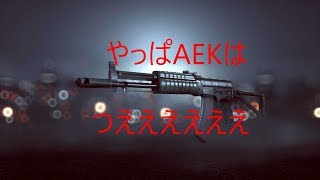 【BF4：実況】やっぱAEKは安定の強さ