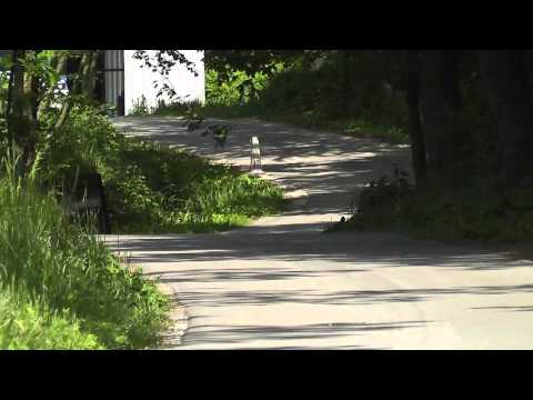 Stawiarski / Wilusz - Peugeot 106 S16 - "Wyścig 660 lat Pilzna" Góra Maga 25.05.2014