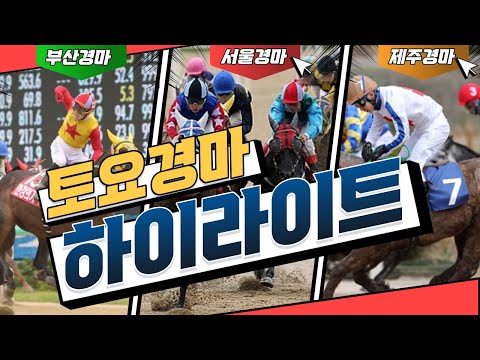[경주결과] 2025년5월31일(서울/제주결과) 하이라이트!! 오늘의 최고배당은?#부산경마#제주경마#경주영상