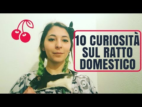 Garofano da parassiti a bambini Parassiti di galline e il loro trattamento