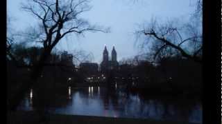 David Gilmour Where we Start 2012 (Lyrics).wmv