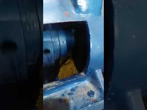 8 TPD Oil Mill Refinery Plant