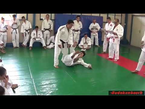 24  O soto gari vs O soto gaeshi