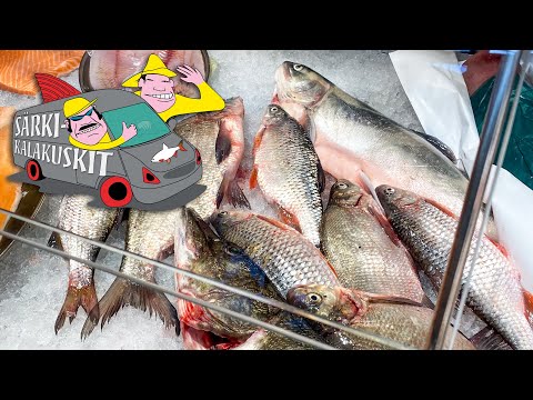 Tehdään RANSKALAINEN KALALIHAPULLAKEITTO & tutustutaan KALAKAUPPIAAN työpäivään | Särkikalakuskit 2