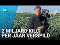 Is dit de oplossing voor voedselverspilling?